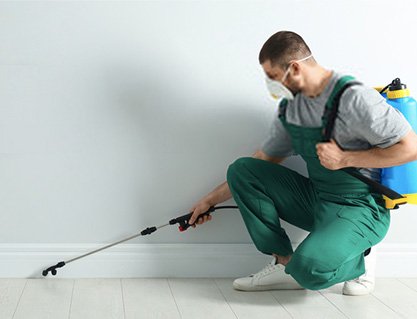 Pest Control  Mulgrave Services